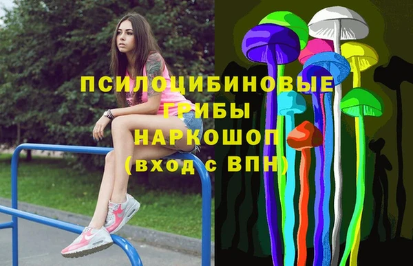 дмт Мегион