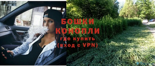 дмт Мегион