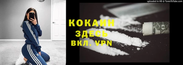 дмт Мегион