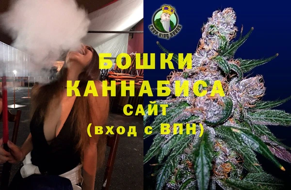 дмт Мегион